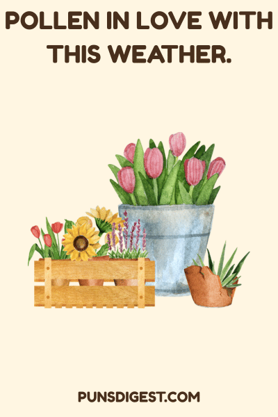 Spring Puns for Captions