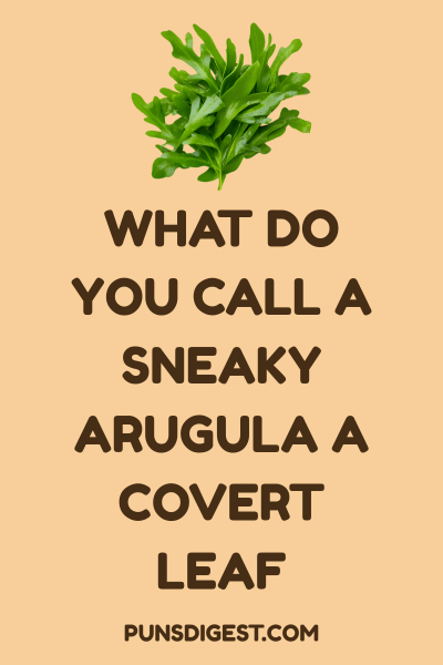 Best Arugula Puns