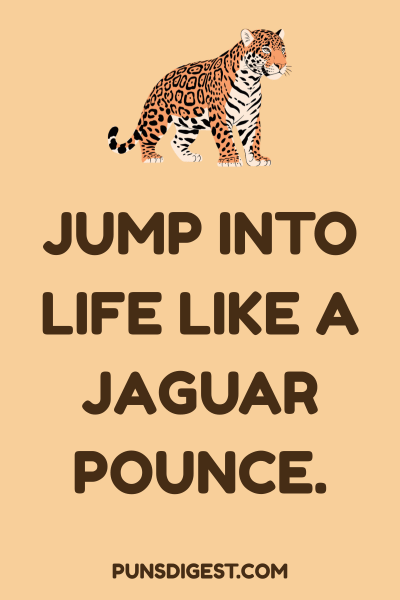 Best Jaguar Puns