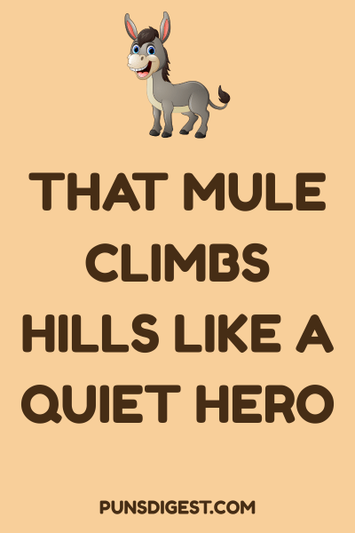 Best Mule Puns