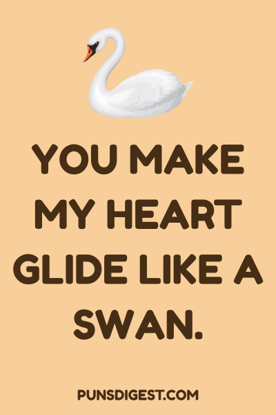 Best Swan Puns