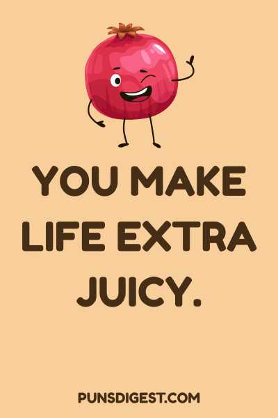 Cute Pomegranate Puns