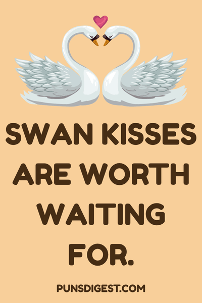 Cute Swan Puns