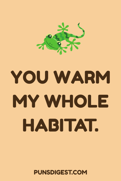 Dirty Gecko Puns