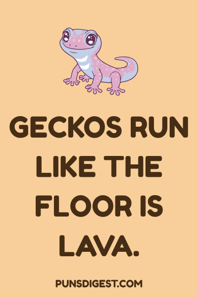 Funny Gecko Puns