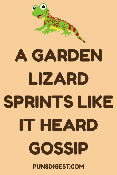 Funny Lizard Puns