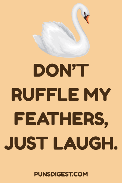 Funny Swan Puns