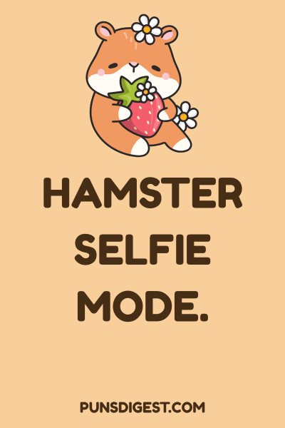 Hamster Puns for Instagram