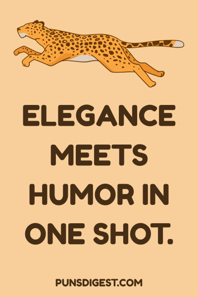 Jaguar Puns Captions