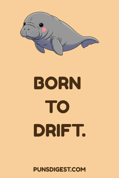 Manatee Puns for instagram