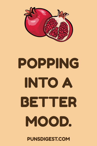 Pomegranate Puns for captions
