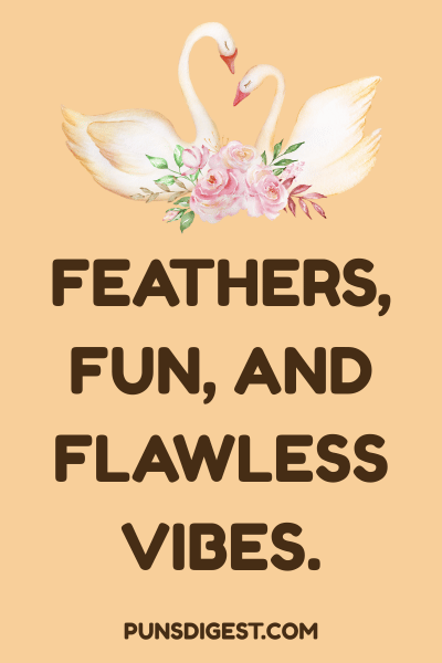 Swan Puns Captions