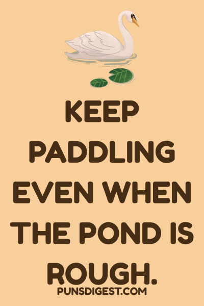 Swan Puns One Liners