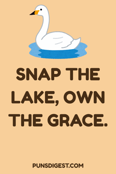 Swan Puns for Instagram