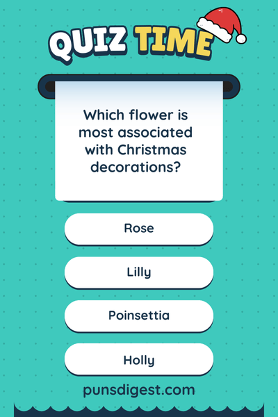 Best Christmas quiz