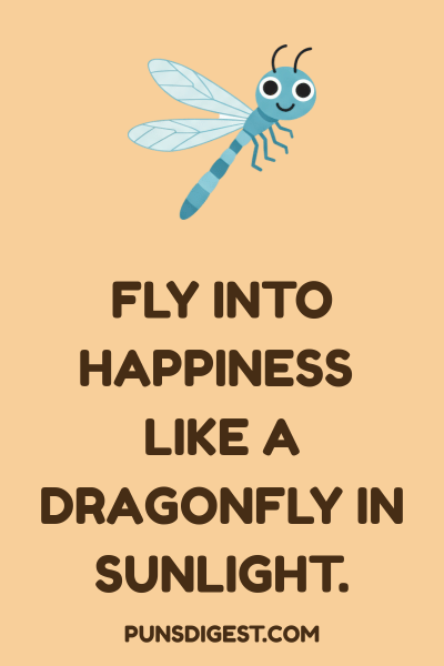 Best Dragonfly Puns