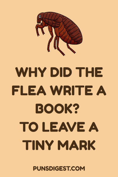 Best Flea Puns