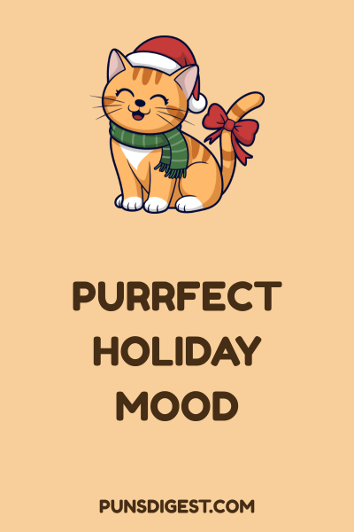 Cat Christmas Puns