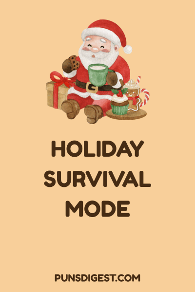 Christmas Puns for Adults