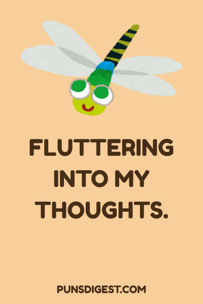 Cute Dragonfly Puns