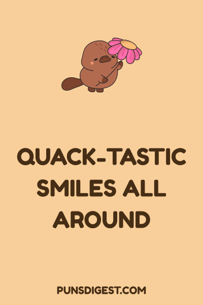 Cute Platypus Puns