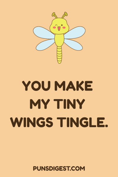 Dirty Dragonfly Puns