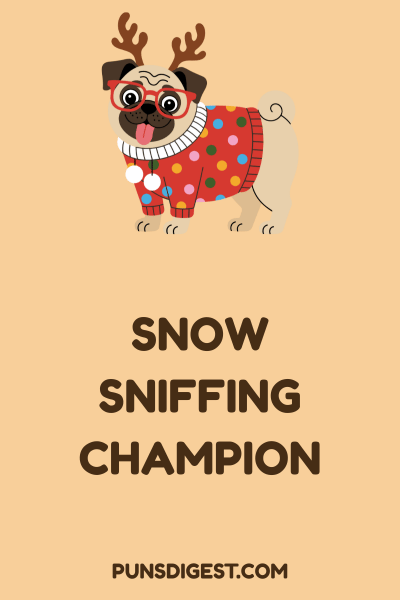 Dog Christmas Puns