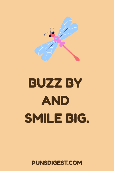 Dragonfly Puns Captions