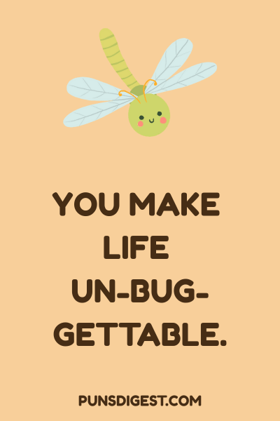 Dragonfly Puns One Liners