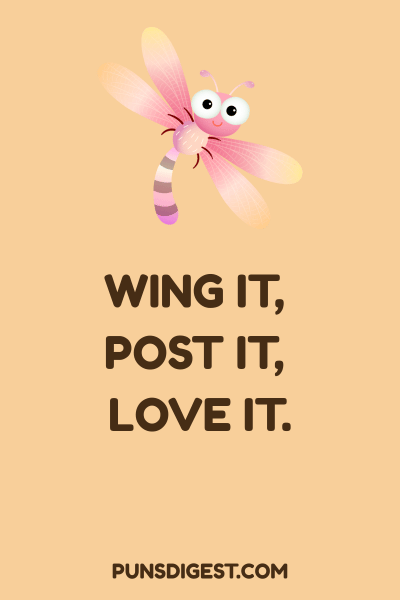 Dragonfly Puns for Instagram
