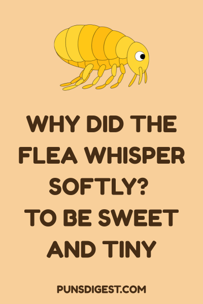 Flea Puns One Liners