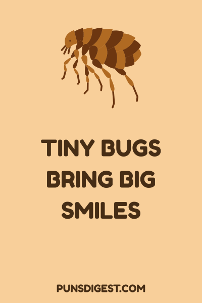 Flea Puns for Instagram