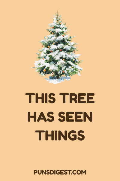 Funny Christmas Puns