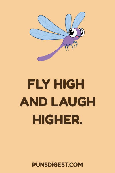 Funny Dragonfly Puns