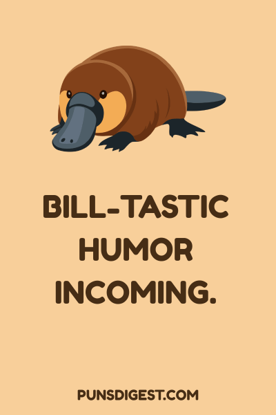 Funny Platypus Puns