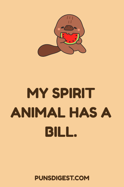 Platypus Puns One Liners
