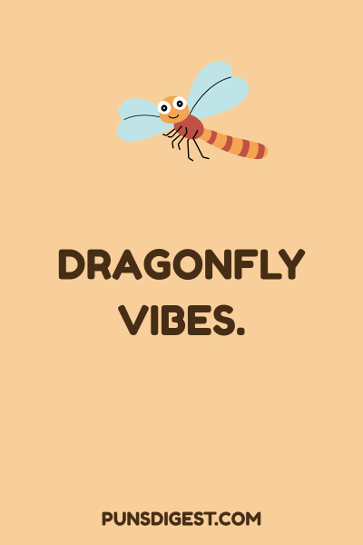Short Dragonfly Puns