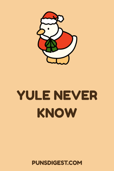 Terrible Christmas Puns