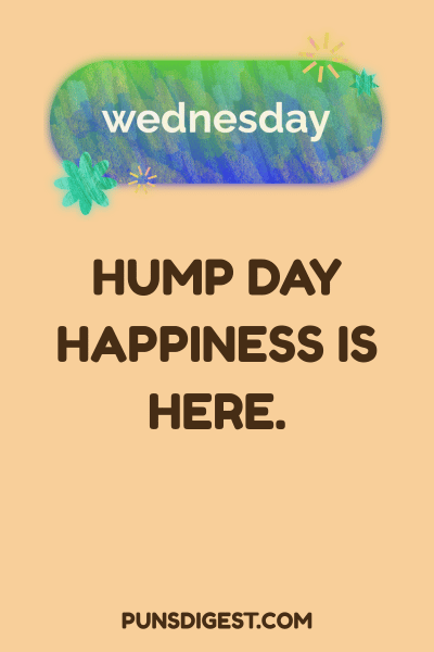 Wednesday Puns for kids