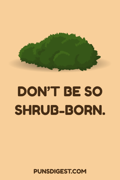 Bush Puns One Liners