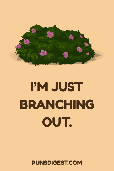 Short Bush Puns