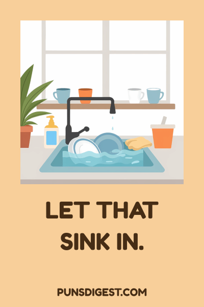 Top Sink Jokes